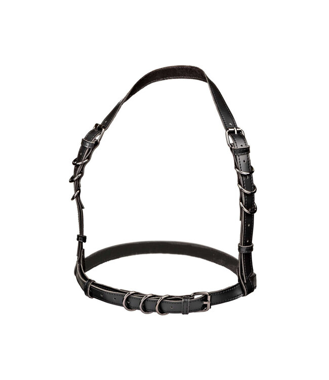 CalExotics Euphoria Collection Plus Size Halter Buckle Harness