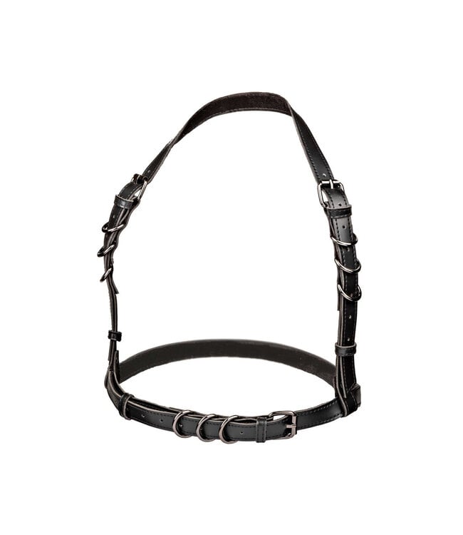CalExotics Euphoria Collection Halter Buckle Harness