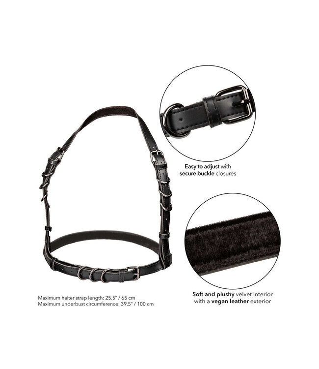 CalExotics Euphoria Collection Halter Buckle Harness