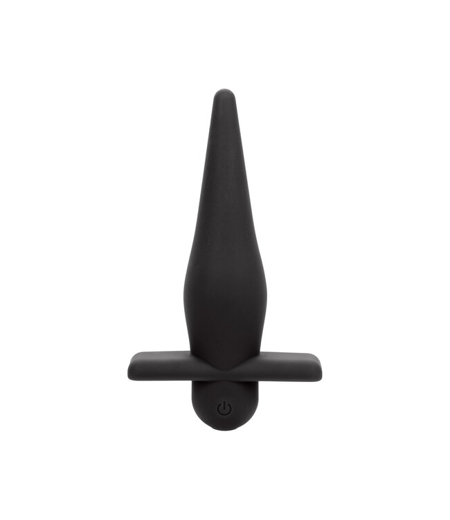 CalExotics Rechargeable High Intensity Probe