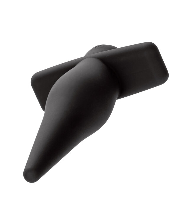 CalExotics Rechargeable High Intensity Probe