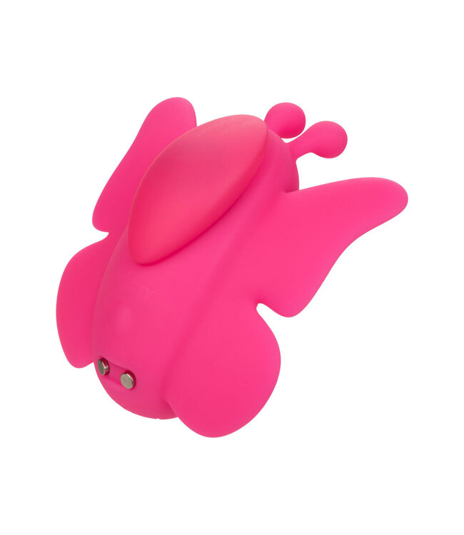 CalExotics Neon Vibes The Flutter Vibe