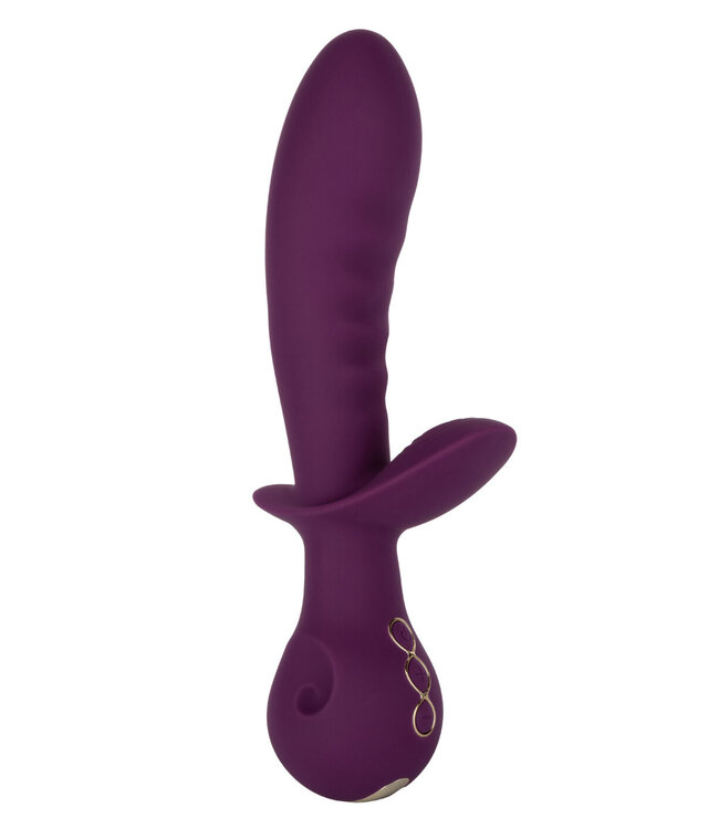 CalExotics Obsession Lover