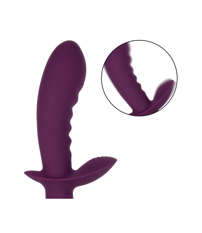 CalExotics Obsession Lover