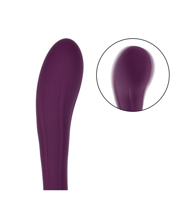 CalExotics Obsession Passion