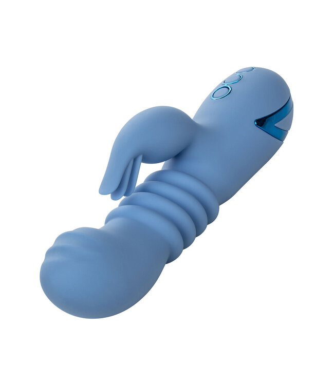 CalExotics California Dreaming Santa Cruz 'Coaster