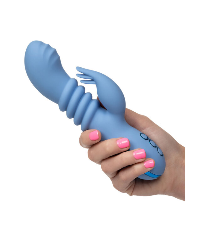 CalExotics California Dreaming Santa Cruz 'Coaster