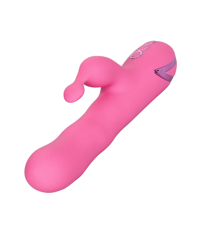 CalExotics California Dreaming Santa Barbara Surfer