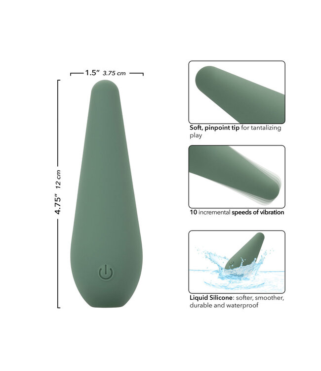 CalExotics Mod Chíc