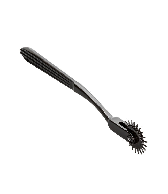 CalExotics Boundless Pleasure Wheel