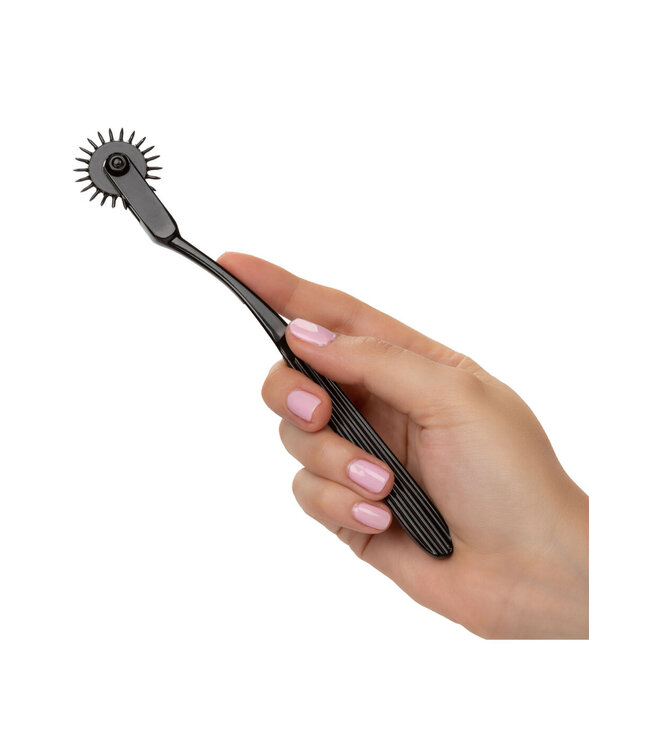 CalExotics Boundless Pleasure Wheel