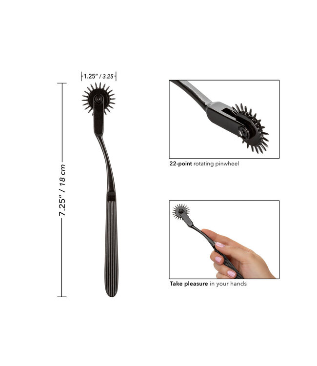 CalExotics Boundless Pleasure Wheel