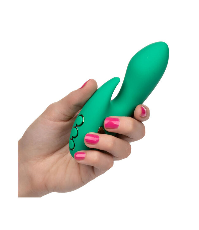 CalExotics California Dreaming Sierra Sensation