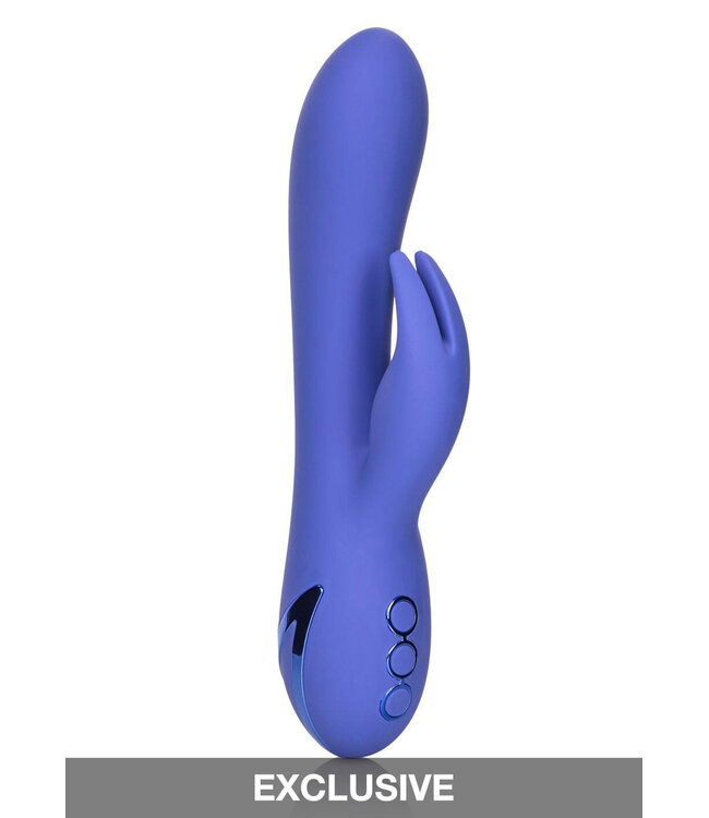 CalExotics California Dreaming Beverly Hills Bunny