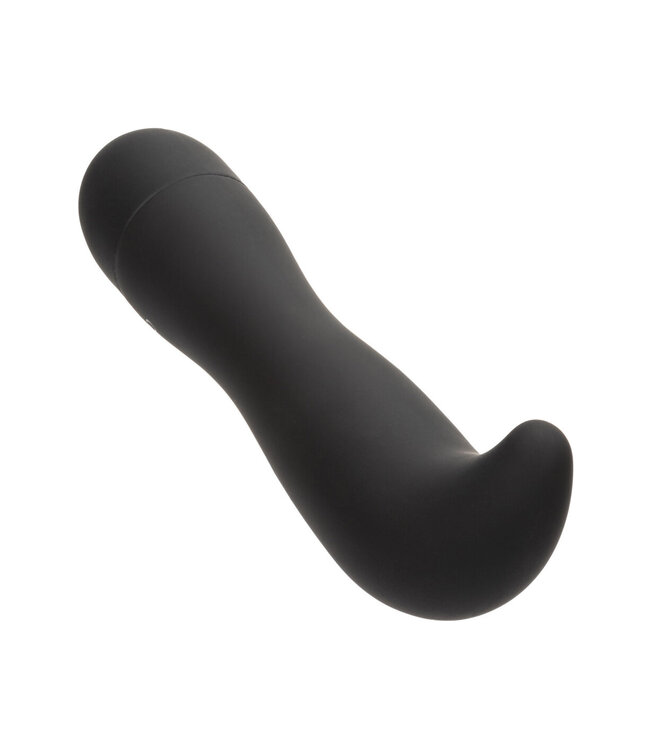 CalExotics Dr. Joel Kaplan Prostate Probe