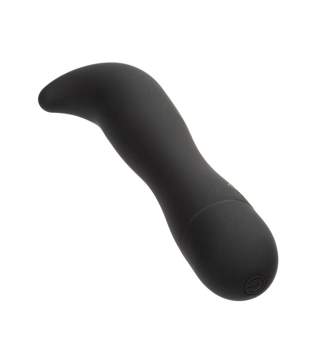 CalExotics Dr. Joel Kaplan Prostate Probe