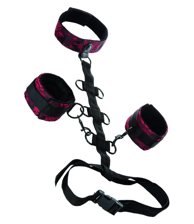 CalExotics Scandal Collar Body Restraint