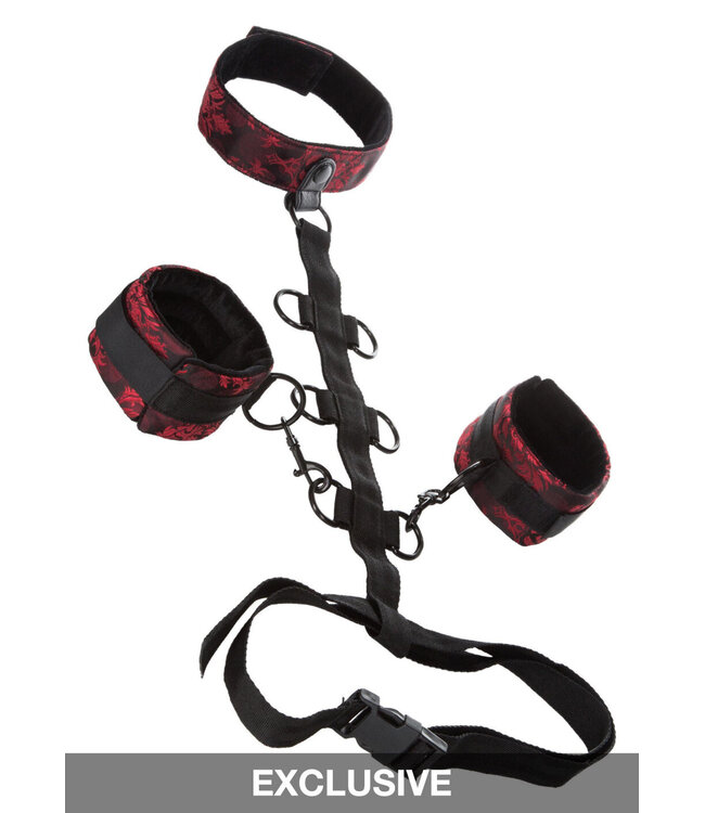CalExotics Scandal Collar Body Restraint