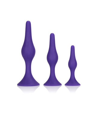 CalExotics Booty Call Booty Trainer Kit
