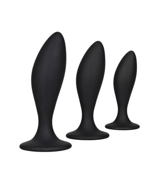 CalExotics Silicone Anal Curve Kit