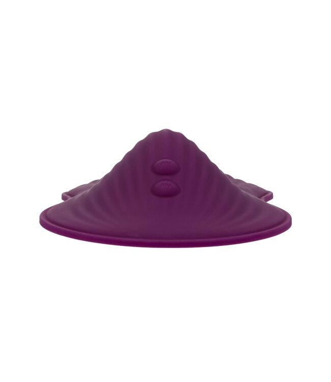 CalExotics LUST Remote Control DUAL RIDER