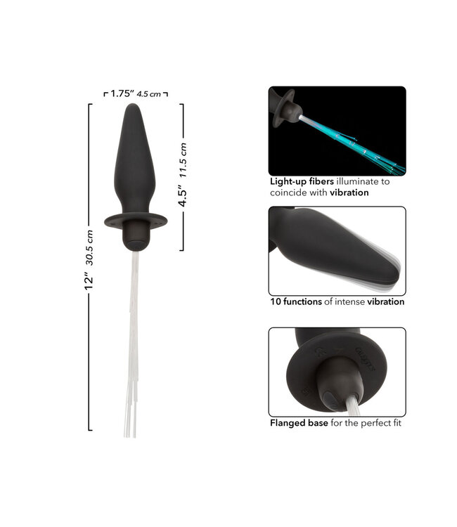 CalExotics Southern Lights Vibrating Light Up Anal Probe