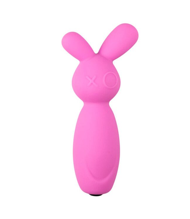 Vibrerende Mini Bunny Vibrator