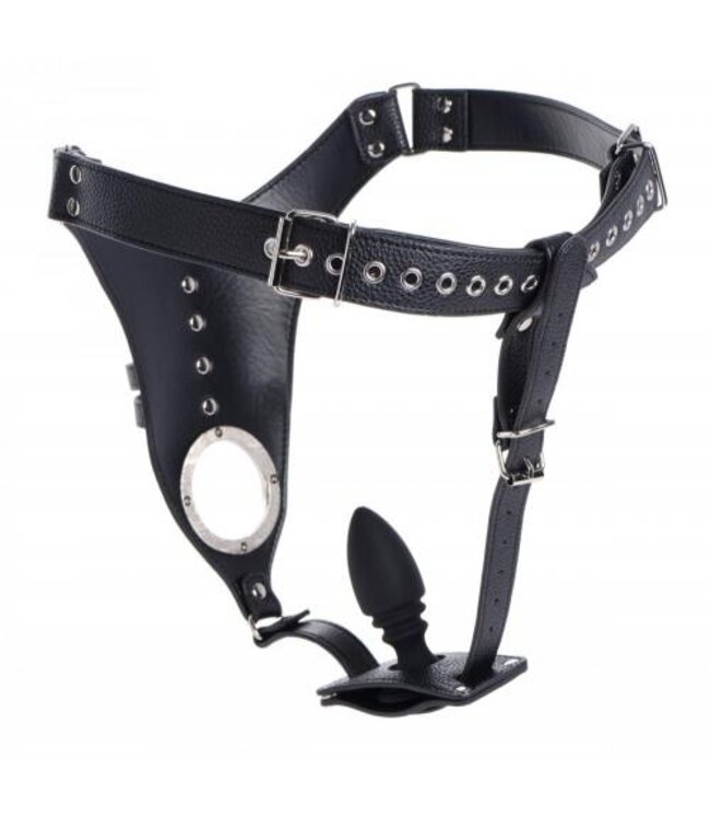 Penis Kuisheidsgordel Met Siliconen Anaal Plug