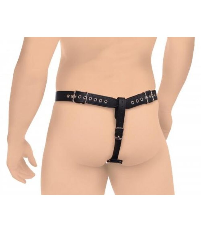 Penis Kuisheidsgordel Met Siliconen Anaal Plug