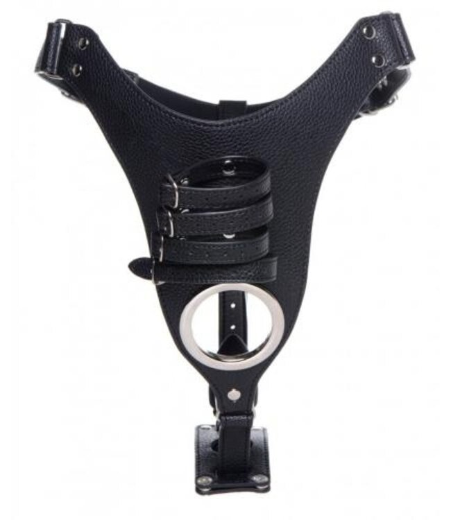 Penis Kuisheidsgordel Met Siliconen Anaal Plug