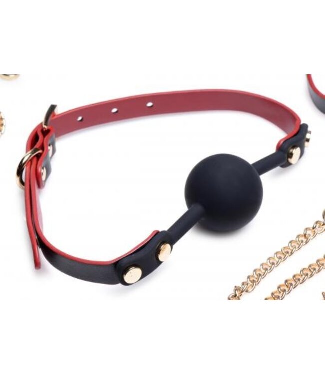 Bow - Luxe BDSM Set Met Reistas