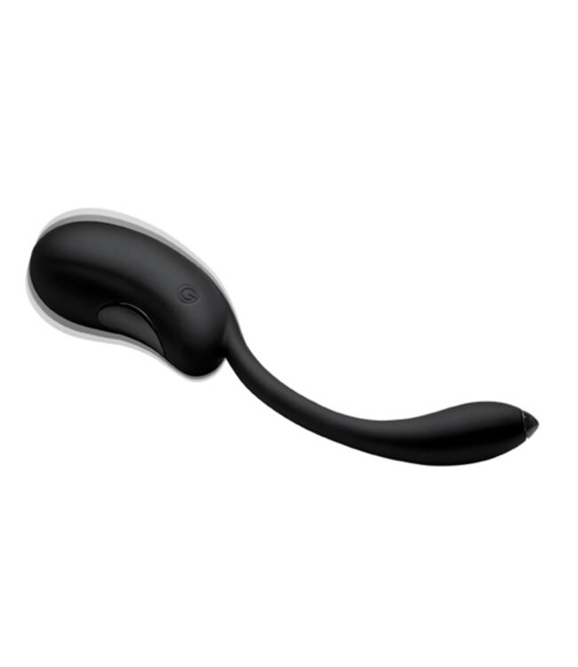 Vibrerend Eitje met Afstandsbediening