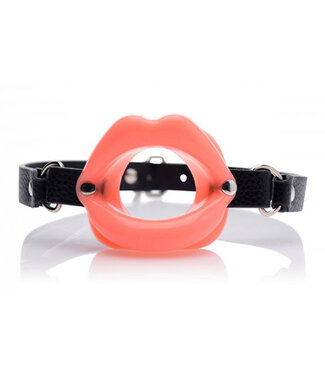 Master Series Sissy Mond Gag