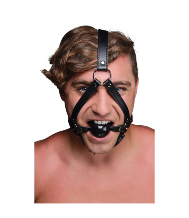 Hoofd Harnas Met Ballgag