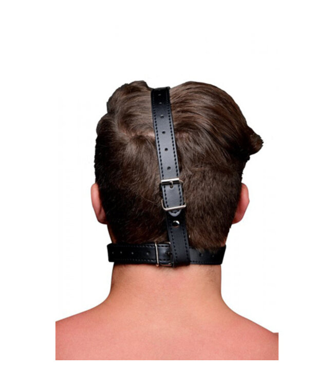 Hoofd Harnas Met Ballgag