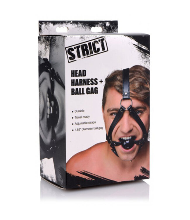Hoofd Harnas Met Ballgag