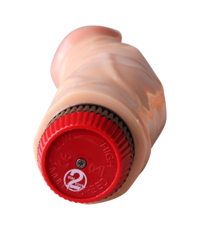 Multi Speed Vibrator - Pascha