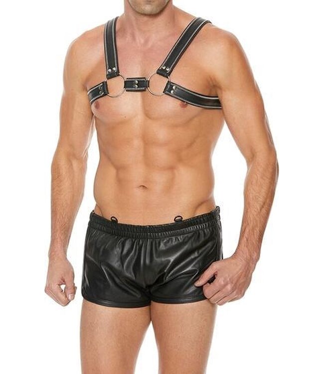 Z Series Scottish Harness Black