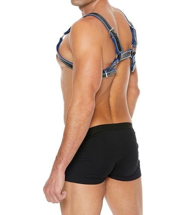 Z Series Borst Bulldog Harness - Blue