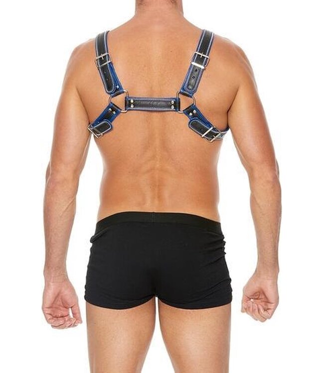 Z Series Borst Bulldog Harness - Blue