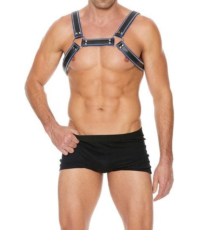 Z Series Borst Bulldog Harness - Blue