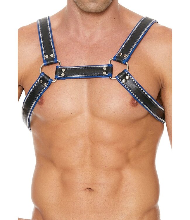 Z Series Borst Bulldog Harness - Blue