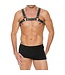 Ouch! Z Series Borst Bulldog Harness - Black