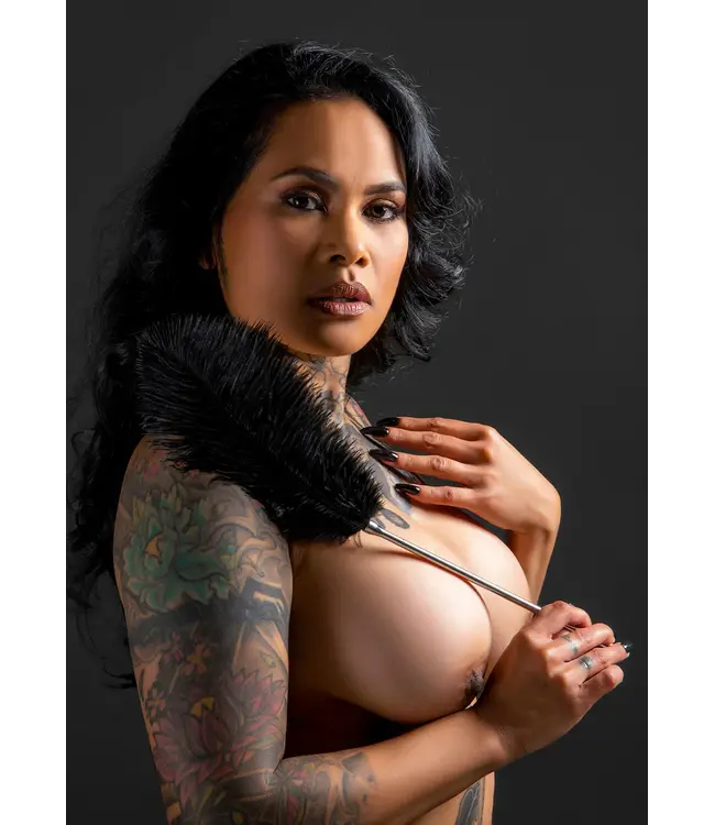 Luxury Bondage Essential - Feather tickler