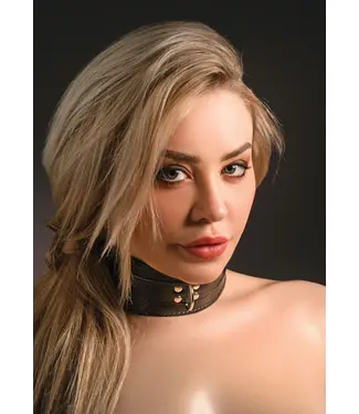 Taboom Luxury Bondage Essential - Heavy D-ring collar