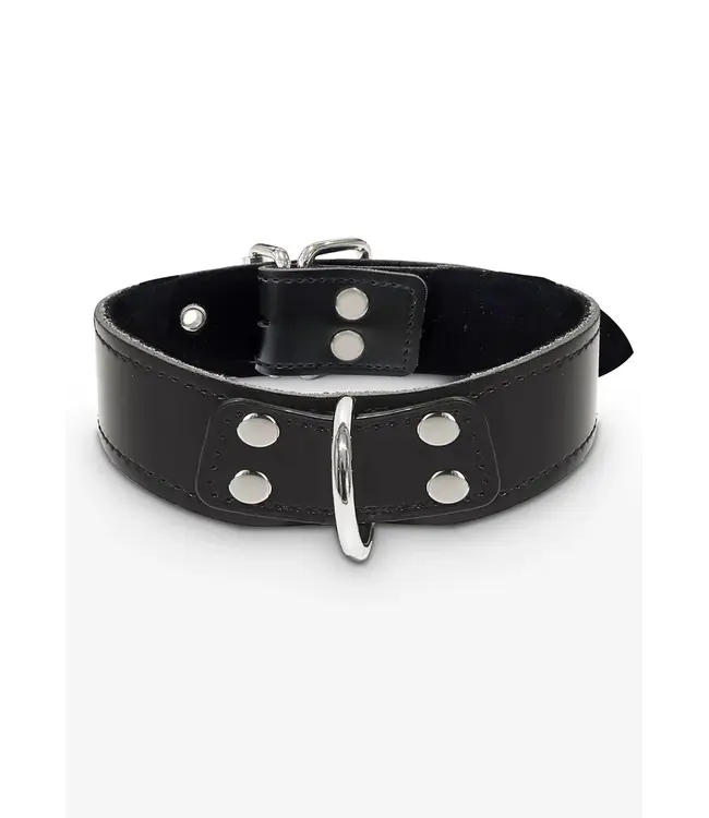 Luxury Bondage Essential - Elegant D-ring collar