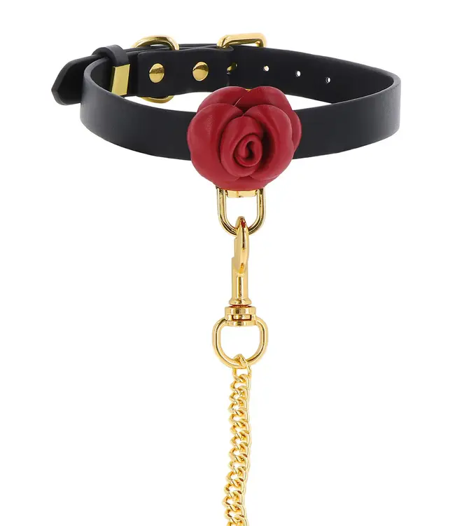 Wild Roses - Collar leash