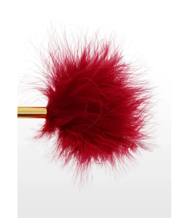 Bondage in luxury - Feather tickler