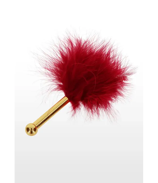 Bondage in luxury - Feather tickler