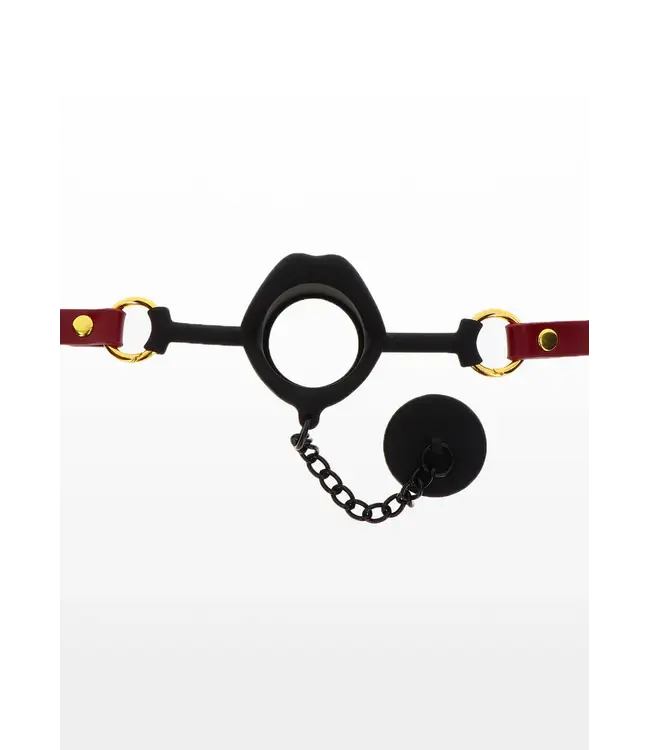 Bondage in luxury - Kinky gag with plug